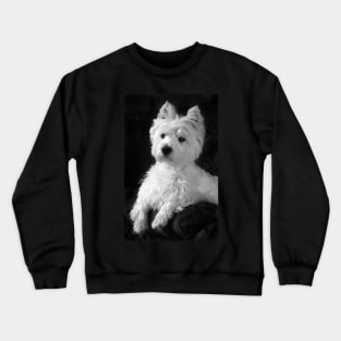 Westie Crewneck Sweatshirt